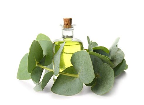 Aceite de eucalipto como parte de la crema demyxil