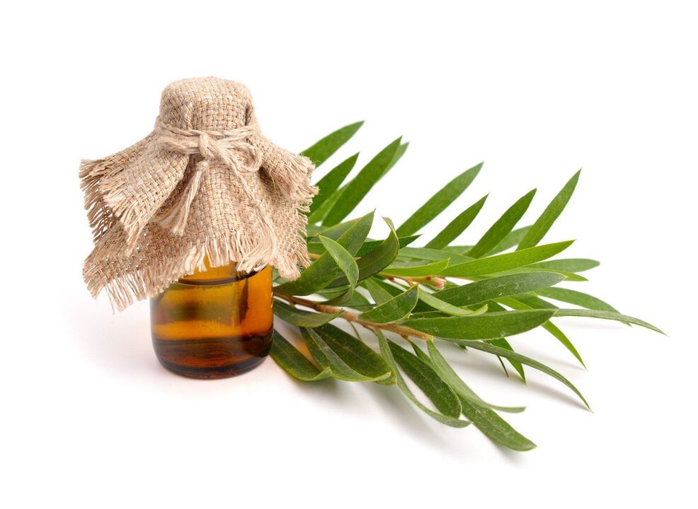 Aceite de árbol de té como parte de la crema zxcvbnmqwert