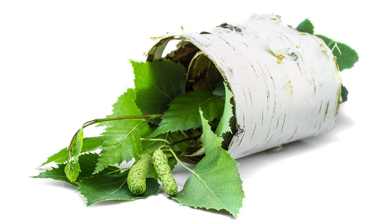 Birch and Bark Extract como parte de la crema Demyxil
