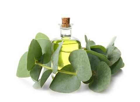 Eucalyptus Oil como parte de la crema Demyxil